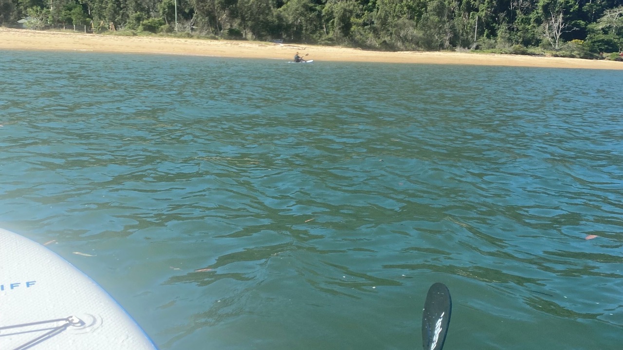 Photo of Others in Patonga