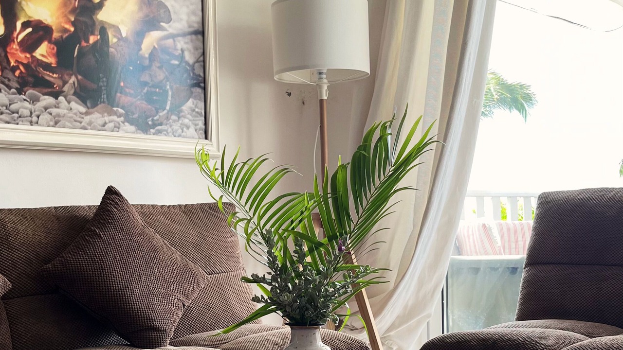 Photo of Livingroom in Samana