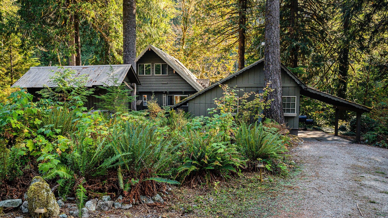 Photo of Outdoor in Marblemount