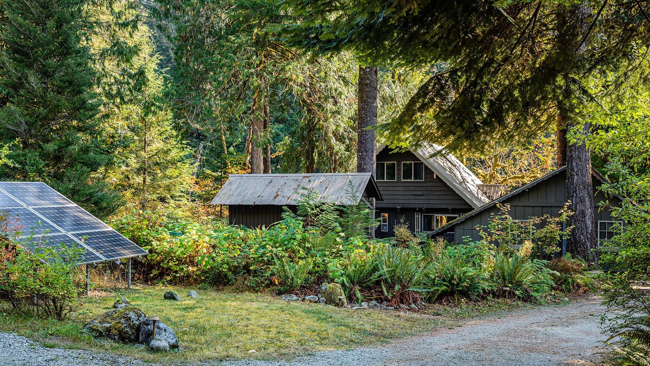 Photo of Outdoor in Marblemount