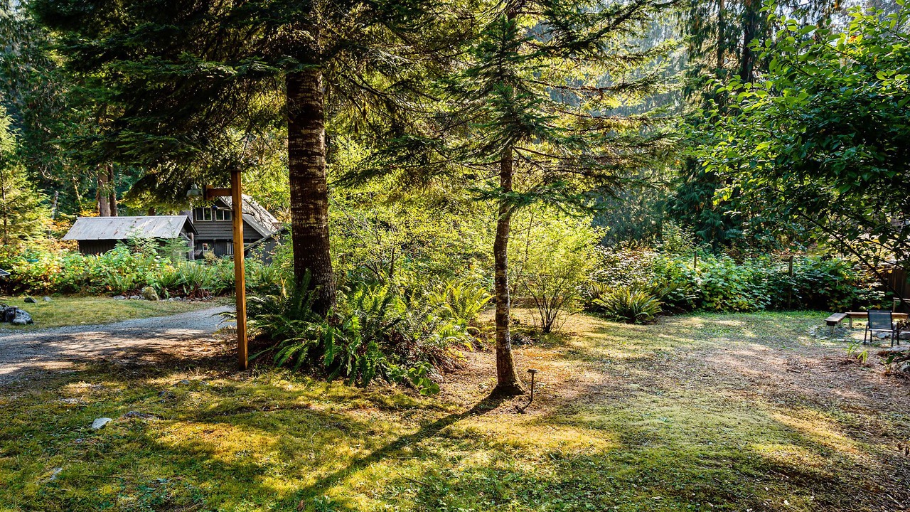 Photo of Outdoor in Marblemount