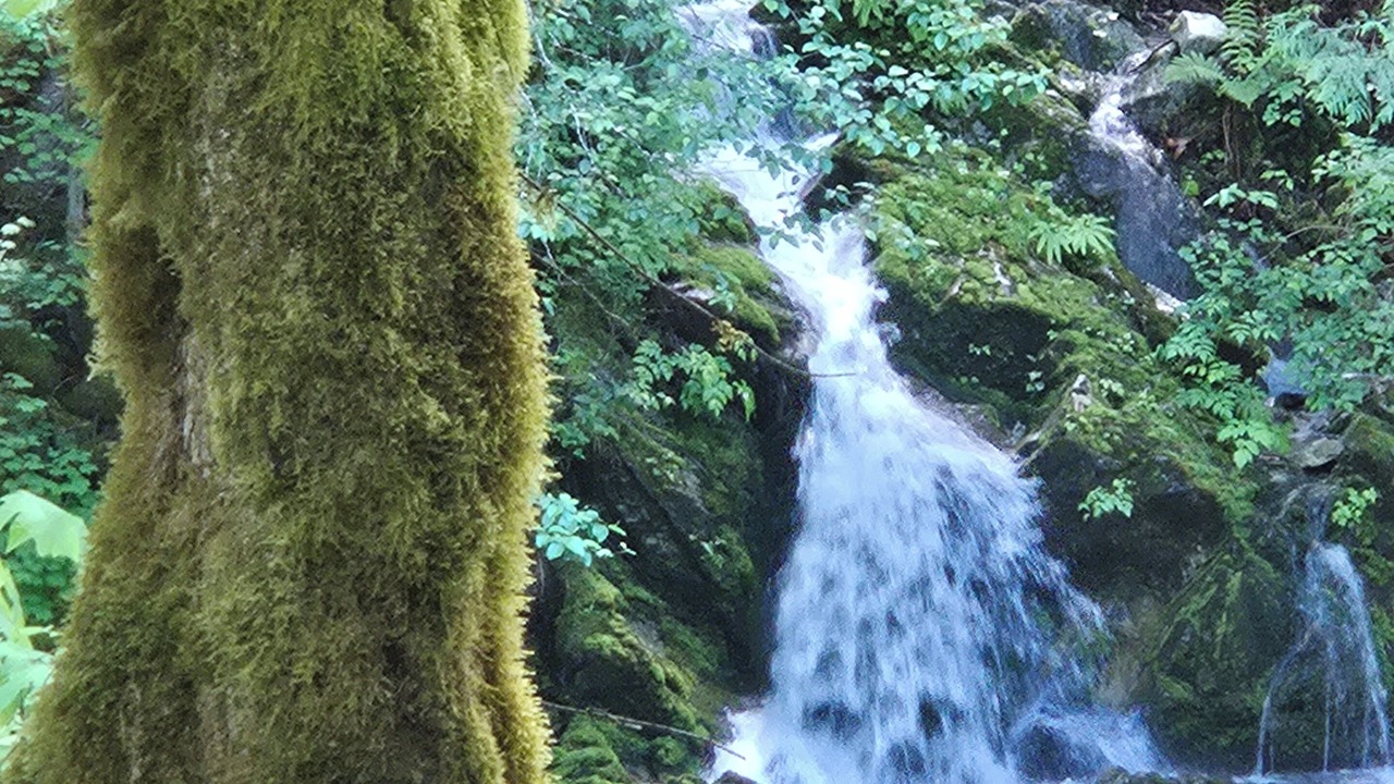 Photo of Others in Marblemount