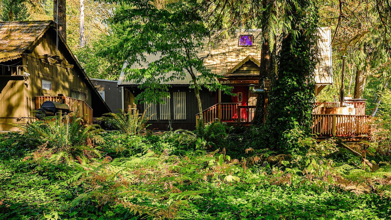 Photo of Outdoor in Marblemount