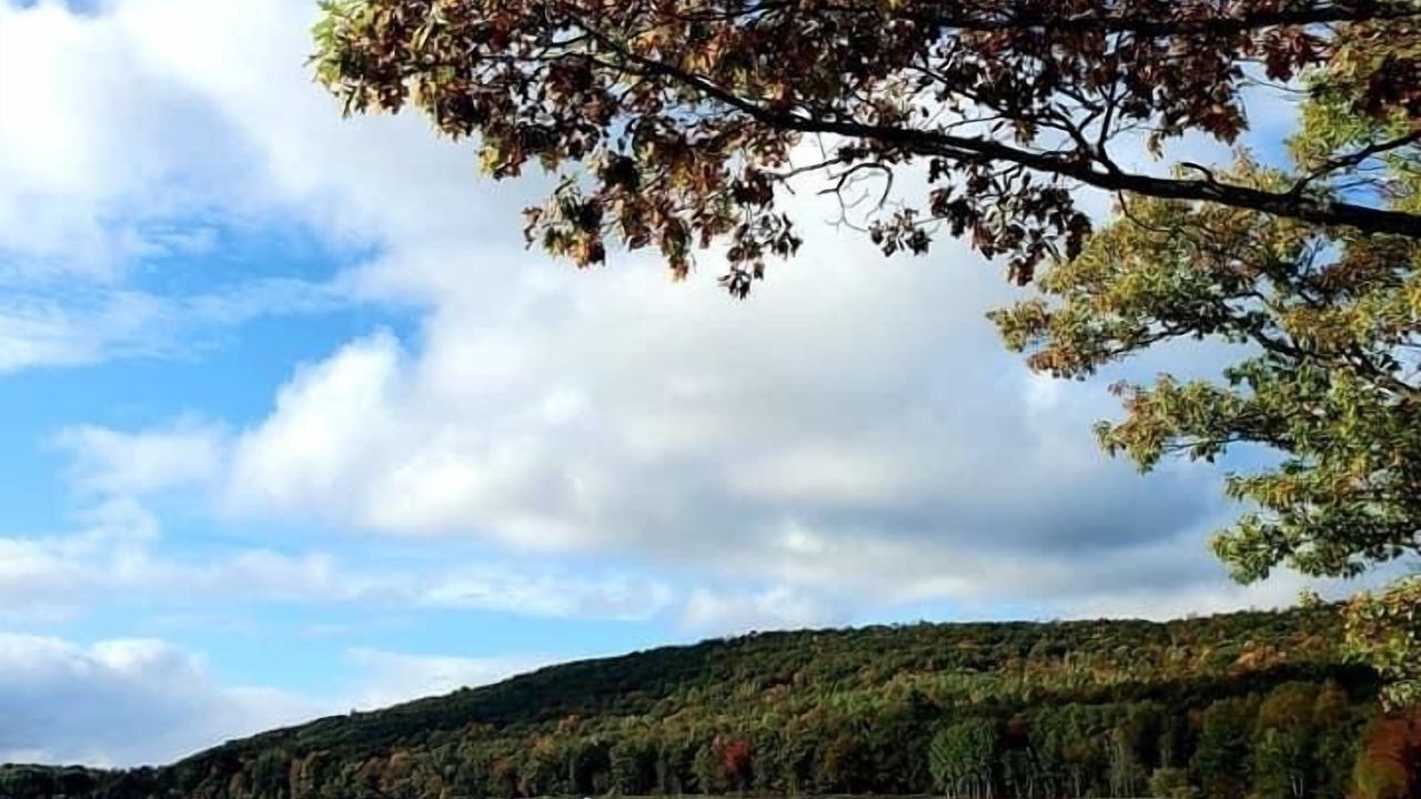 Photo of Outdoor in Iron Mountain