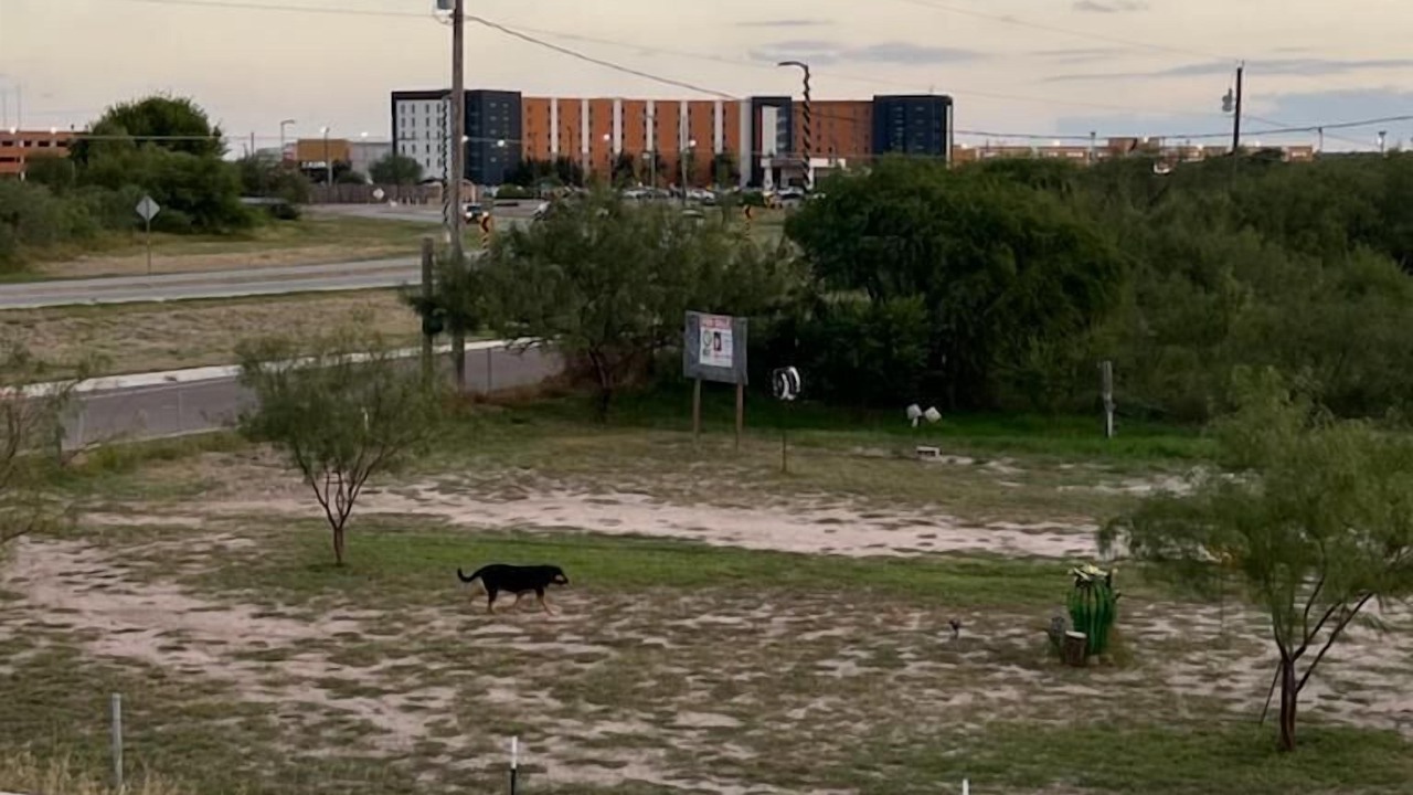 Photo of Others in Rosita South