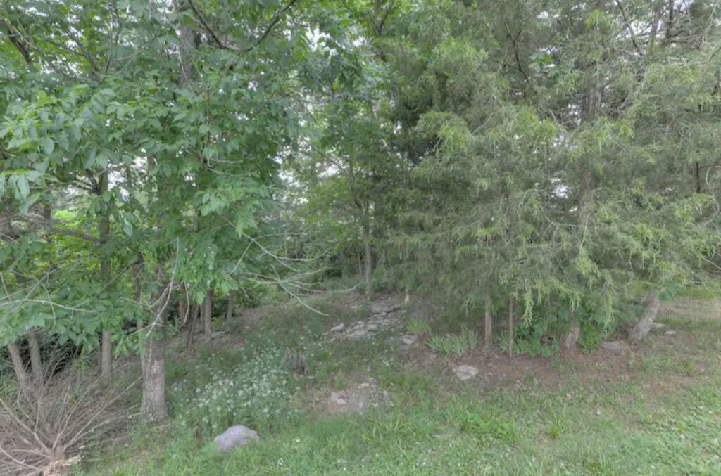 Photo of Outdoor in La Vergne