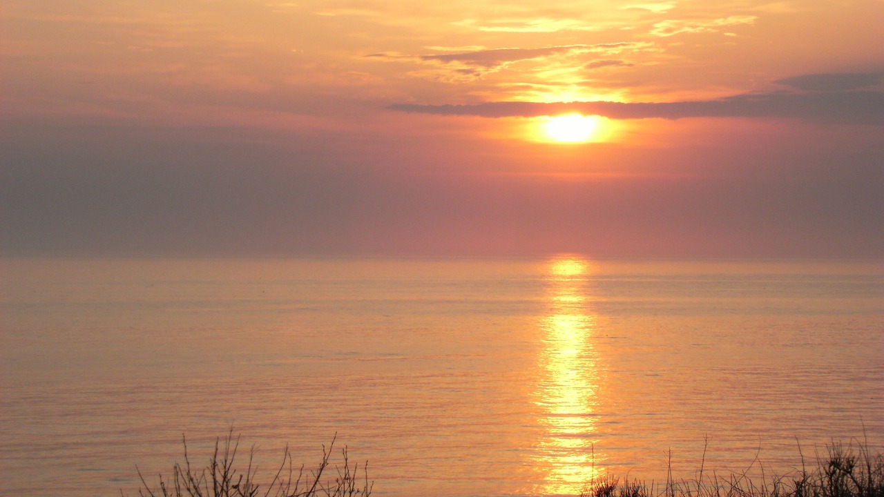 Photo of Others in Yarmouth County