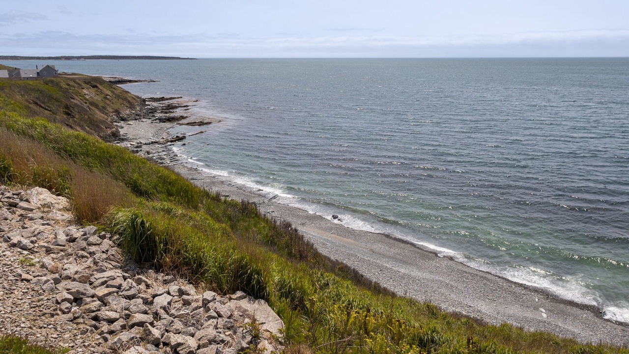 Photo of Others in Yarmouth County