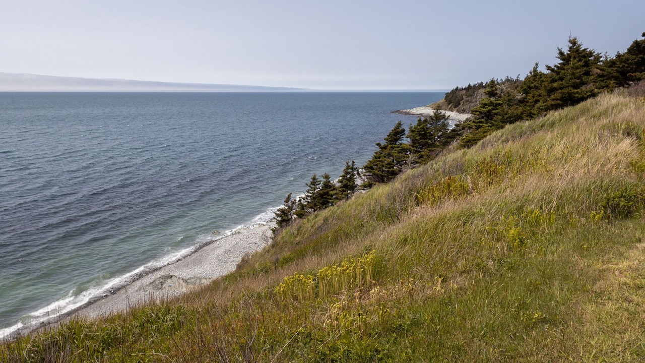 Photo of Others in Yarmouth County