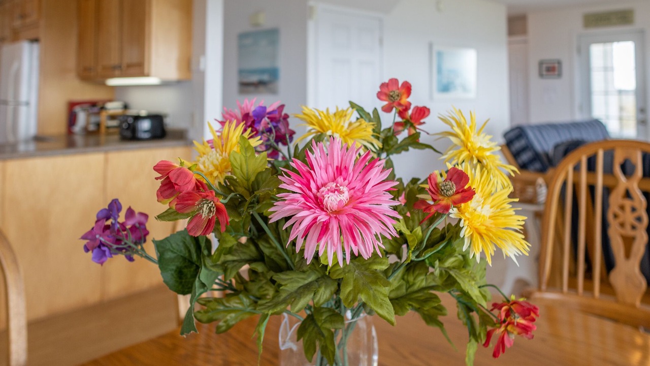 Photo of Others in Yarmouth County