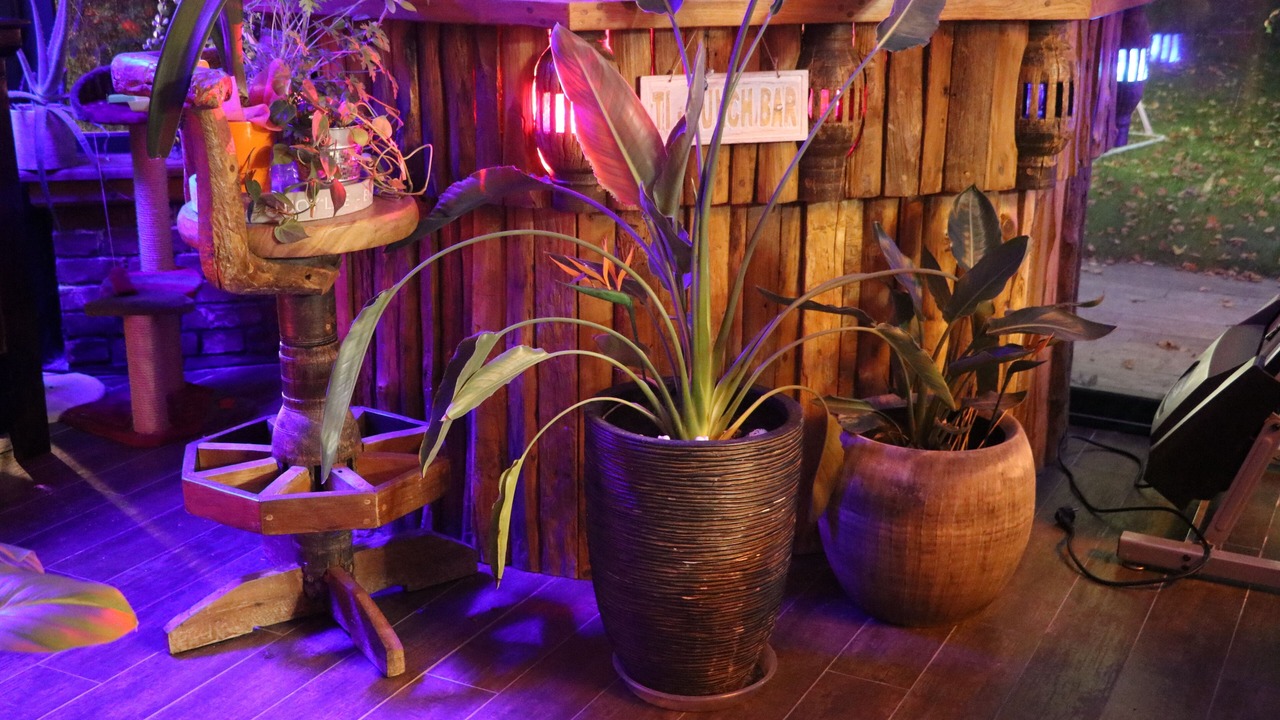 Photo of Outdoor in Vred