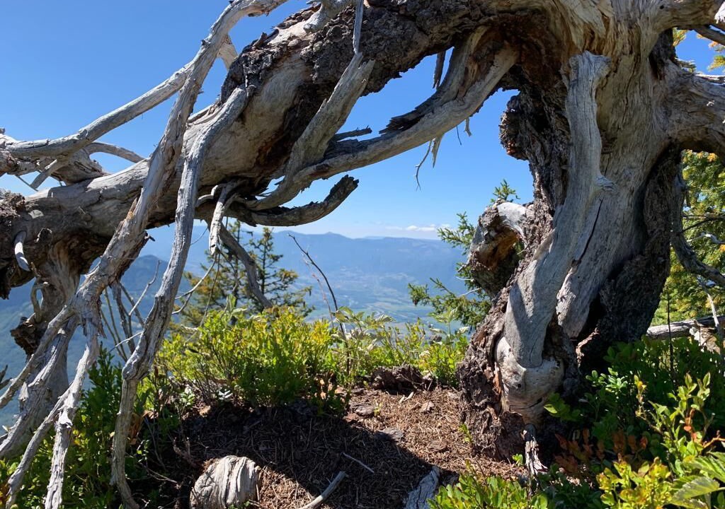 Photo of Outdoor in Chamoux-sur-Gelon