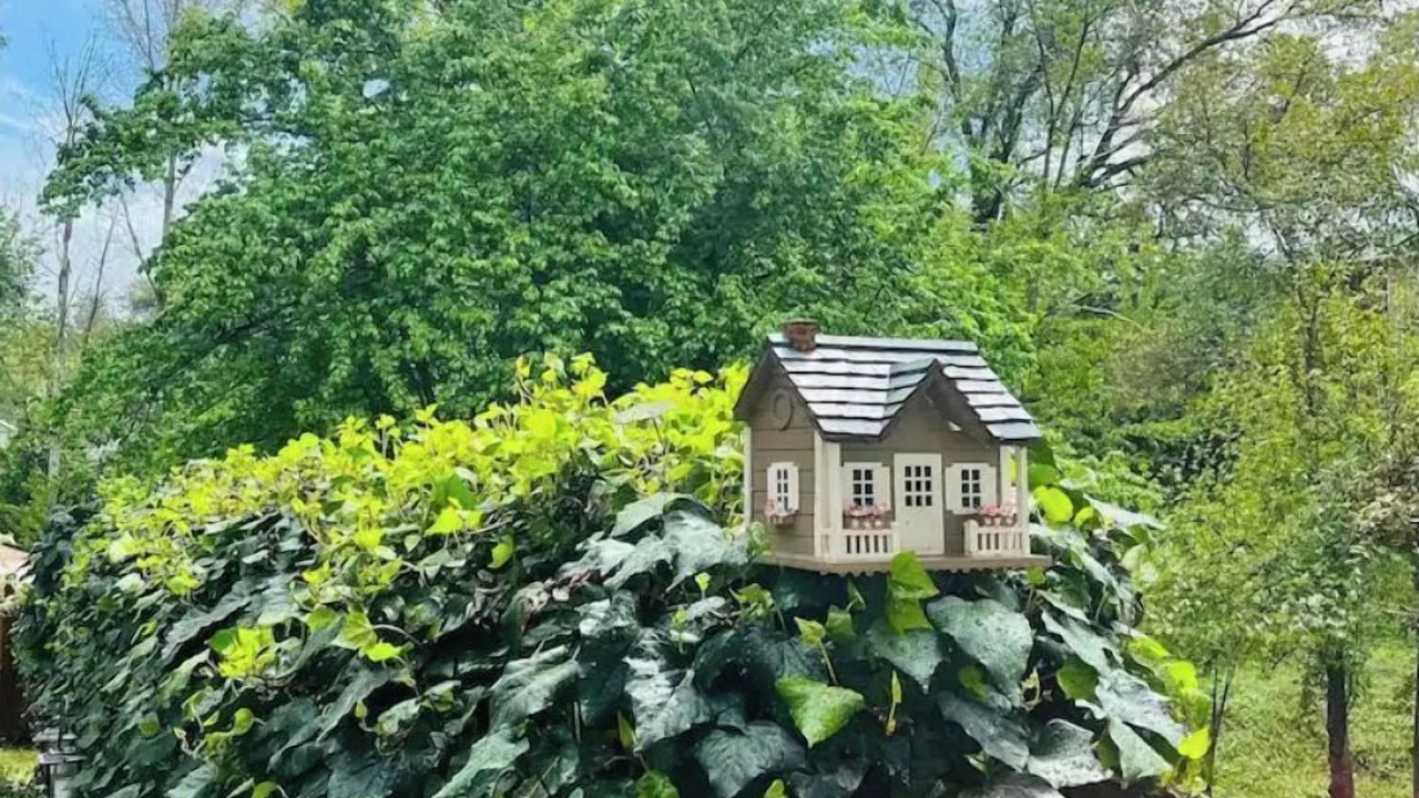 Photo of Outdoor in Placerville