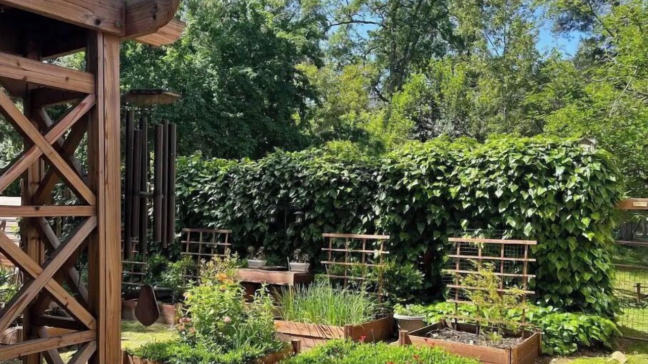 Photo of Outdoor in Placerville