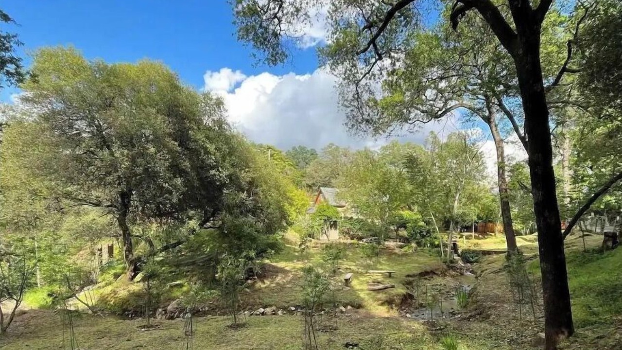 Photo of Outdoor in Placerville