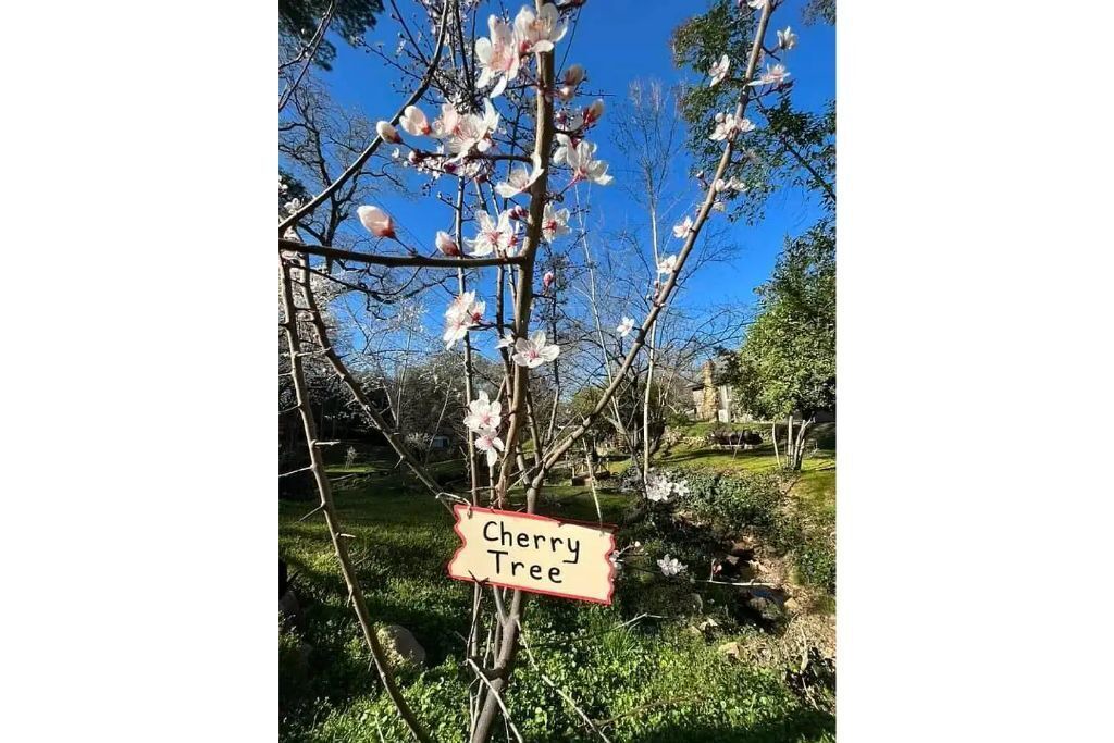 Photo of Outdoor in Placerville