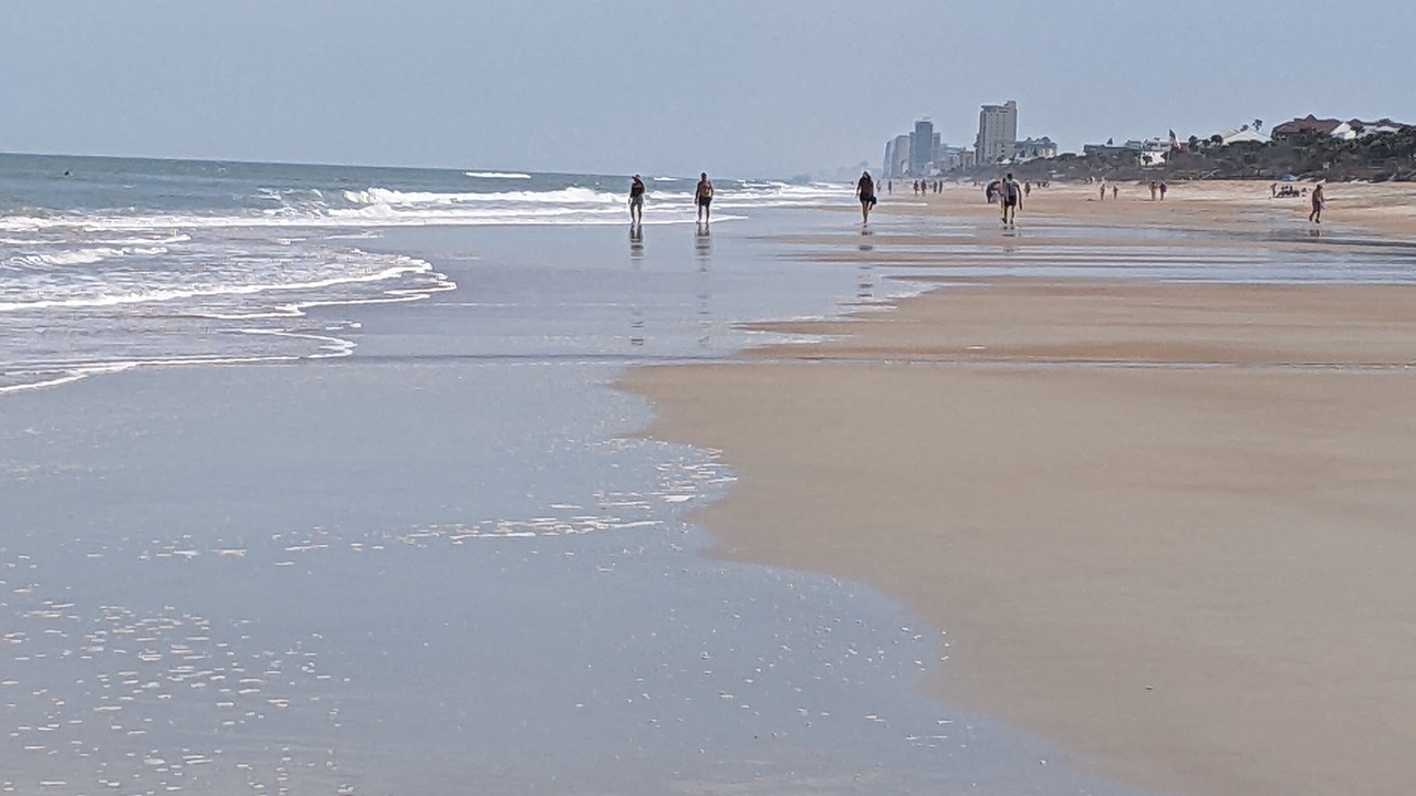 Photo of Others in Plaza Shores