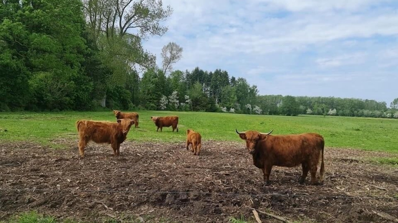 Photo of Outdoor in Stokkemarke