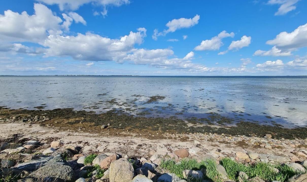 Photo of Others in Stokkemarke