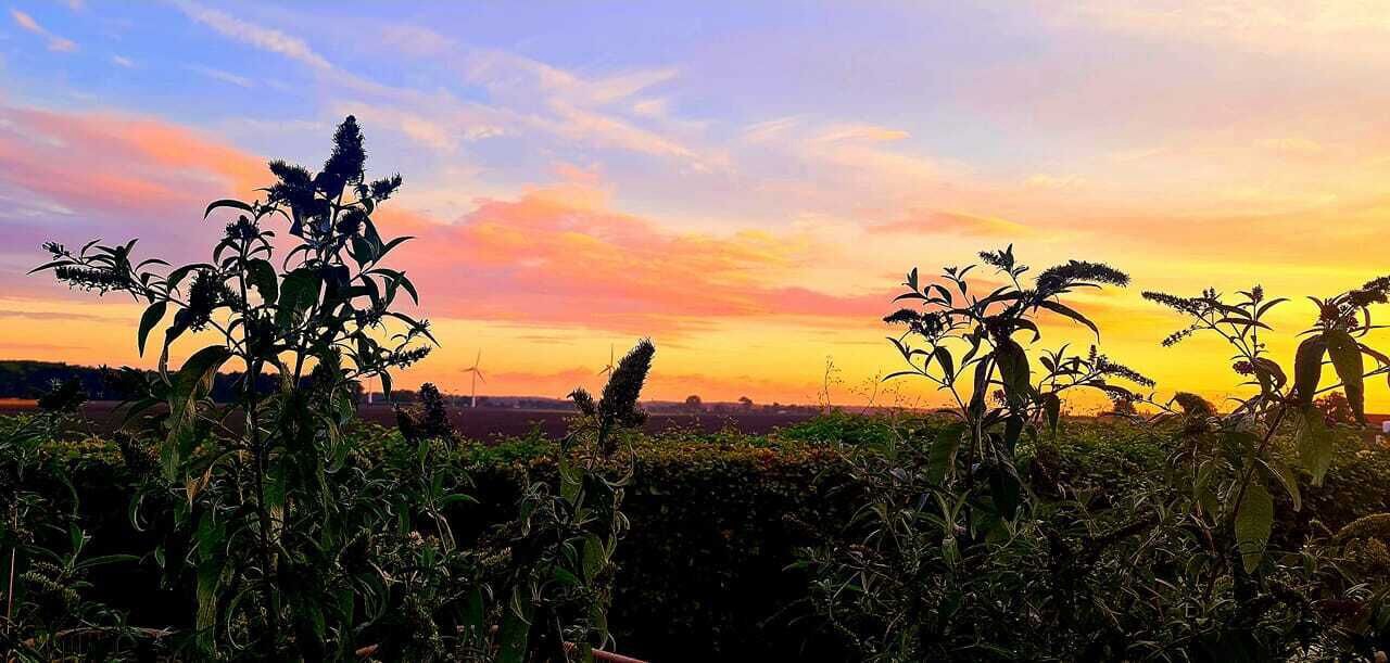 Photo of Outdoor in Stokkemarke