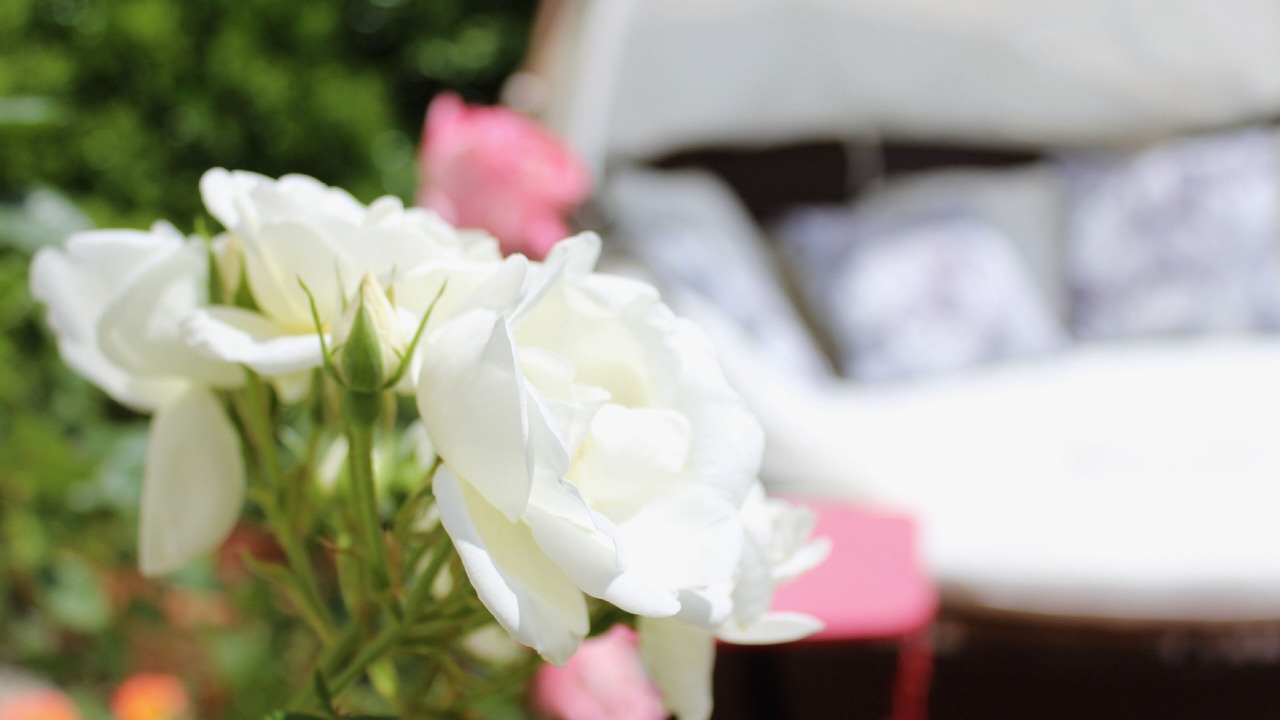 Photo of Others in Olonzac