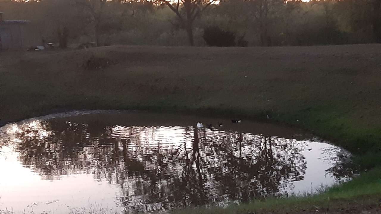 Photo of Others in Bastrop