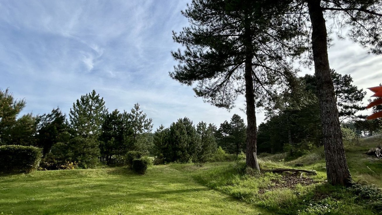 Photo of Outdoor in Belle Dune
