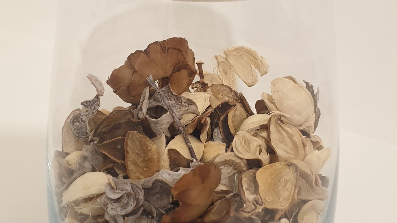 Photo of Others in Chatel-Guyon