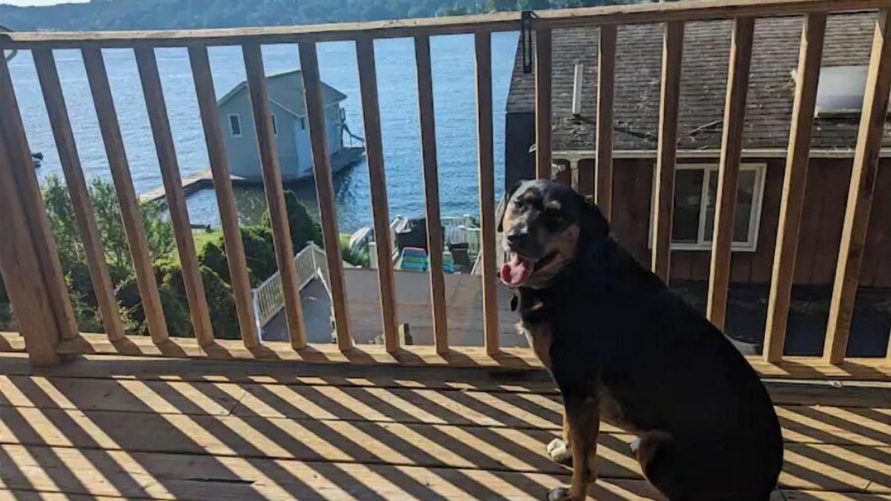 Photo of Outdoor in Hopatcong