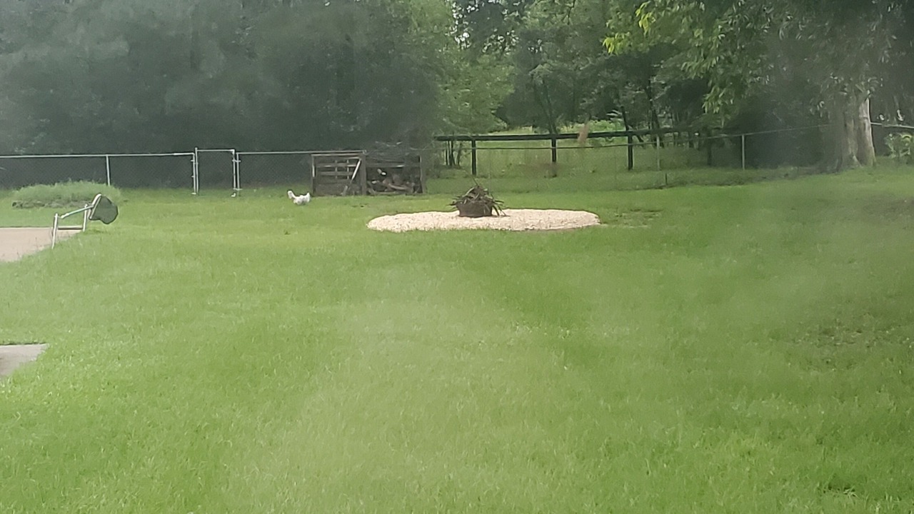 Photo of Outdoor in Aiken