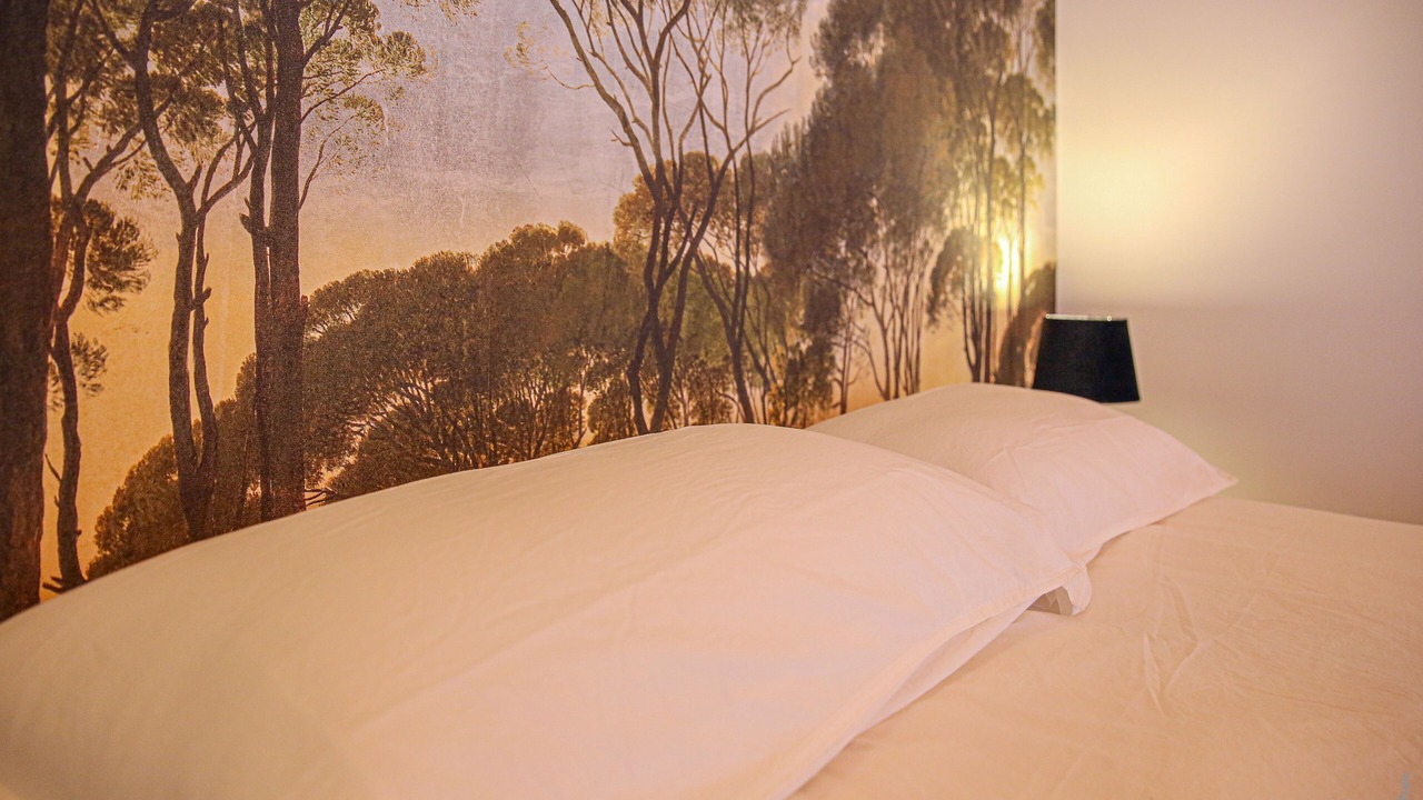 Photo of Bedroom in Graulhet