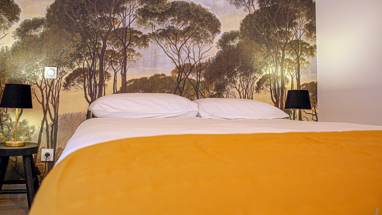 Photo of Bedroom in Graulhet