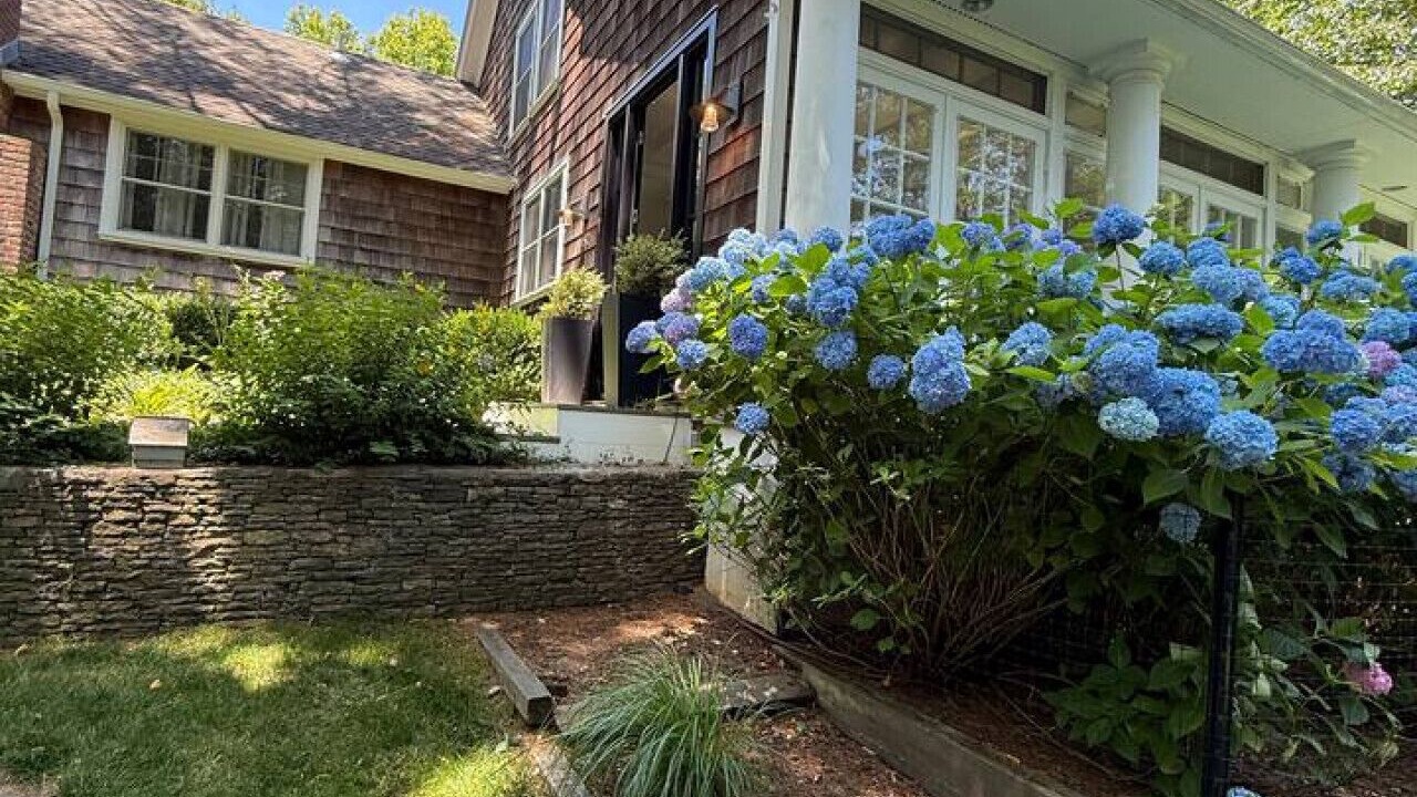 Photo of Outdoor in East Hampton North