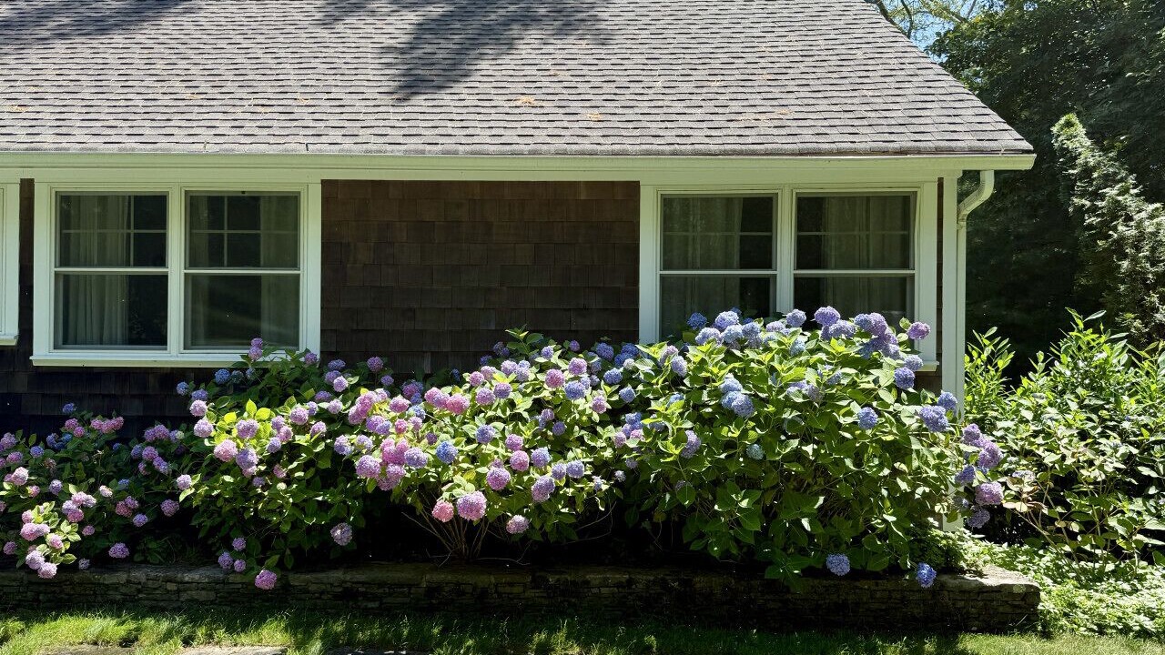 Photo of Outdoor in East Hampton North