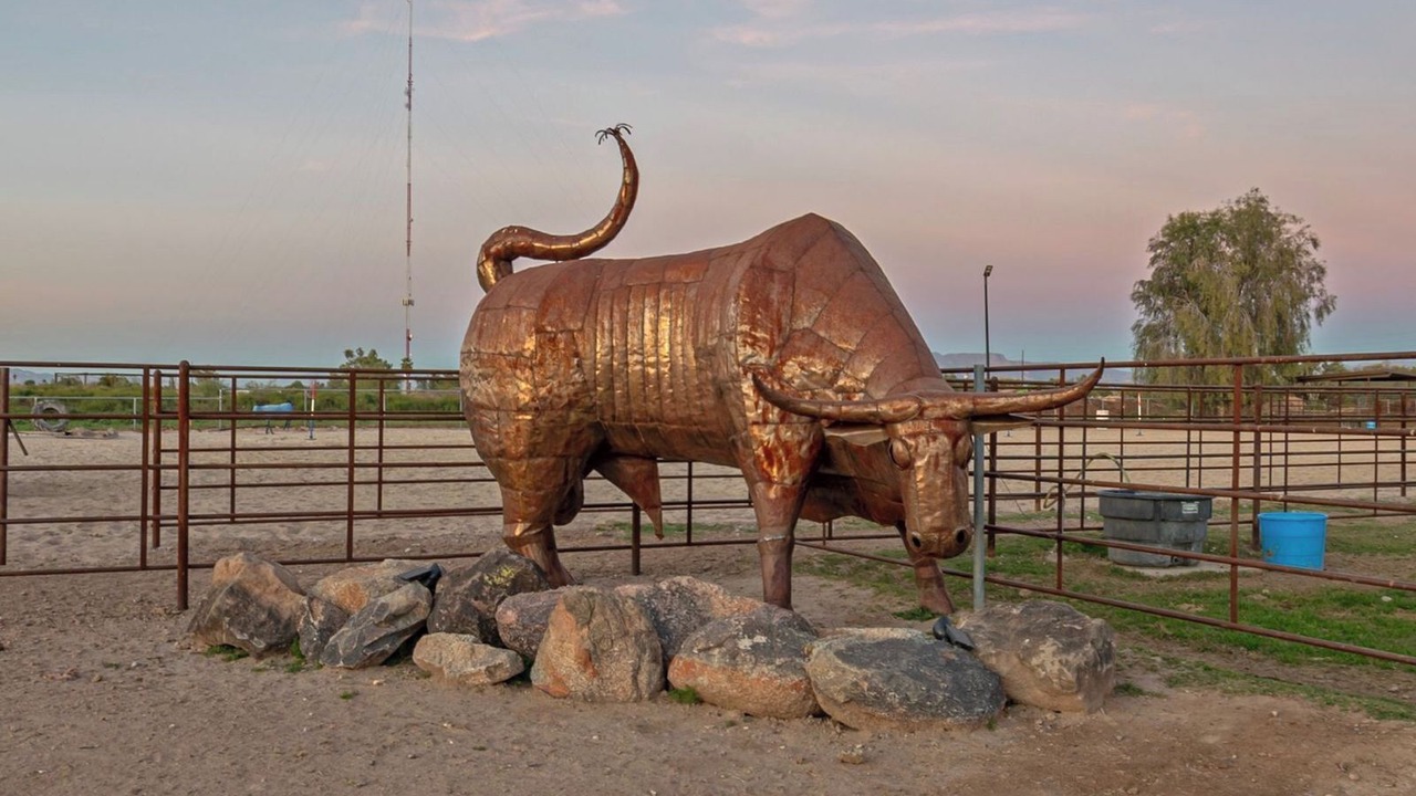 Photo of Others in San Tan Valley