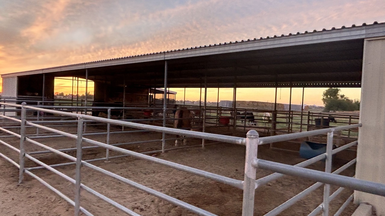 Photo of Outdoor in San Tan Valley