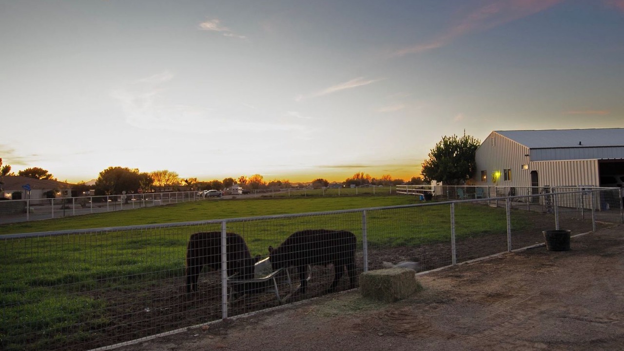 Photo of Others in San Tan Valley