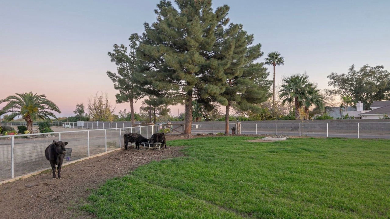Photo of Others in San Tan Valley