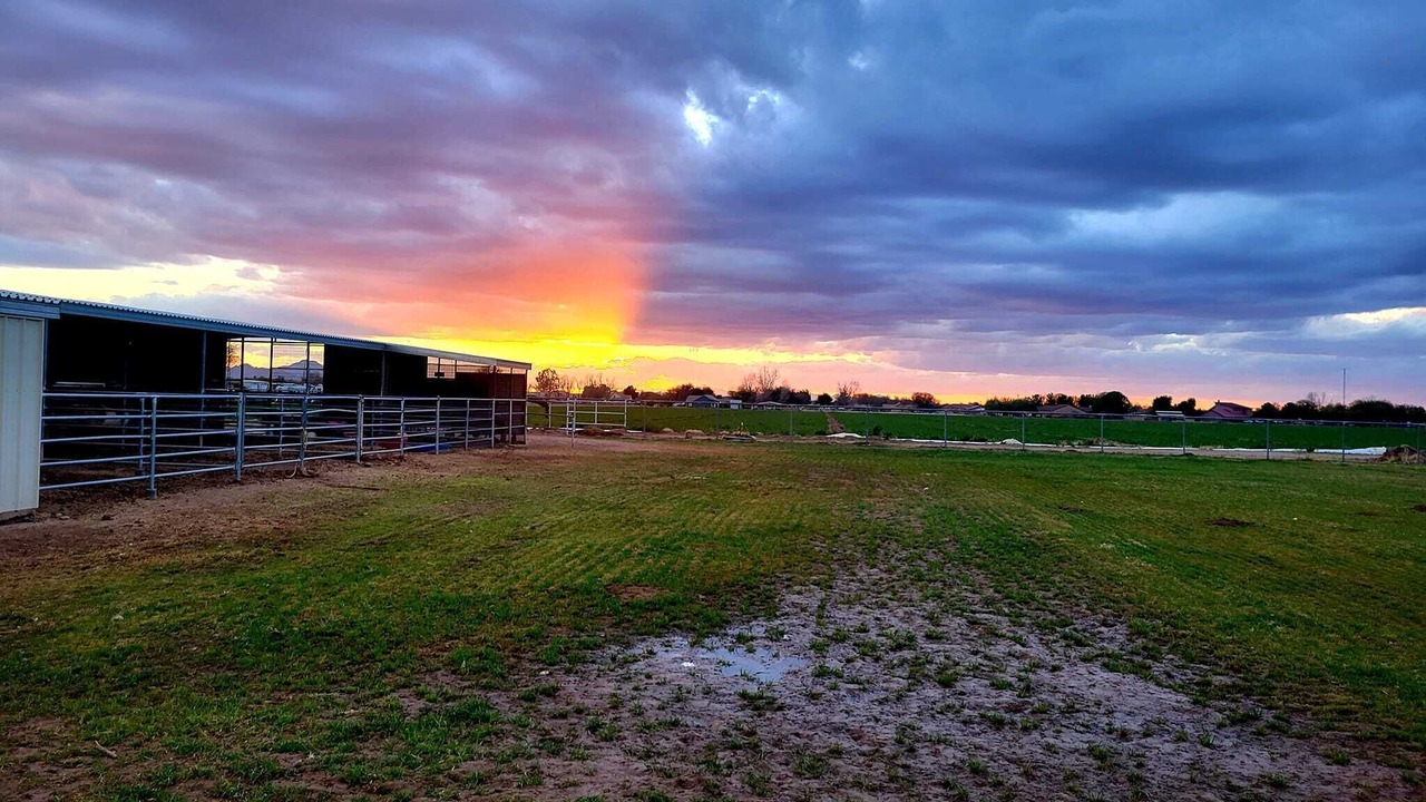 Photo of Outdoor in San Tan Valley