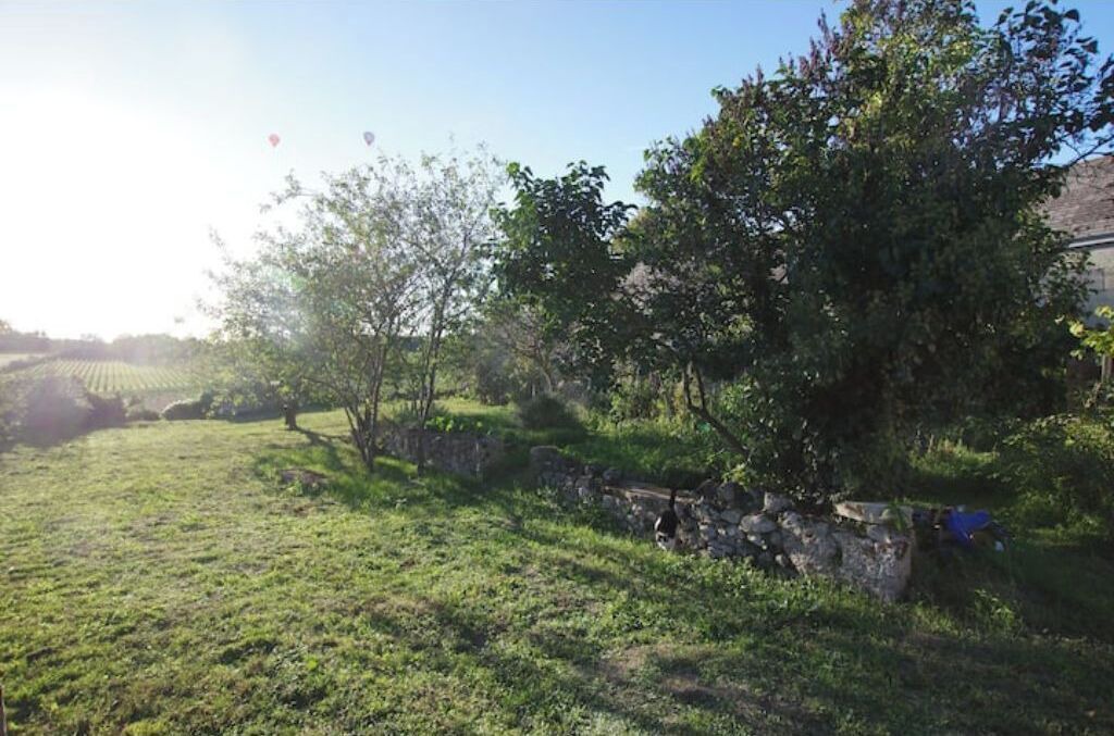 Photo of Outdoor in Souzay-Champigny