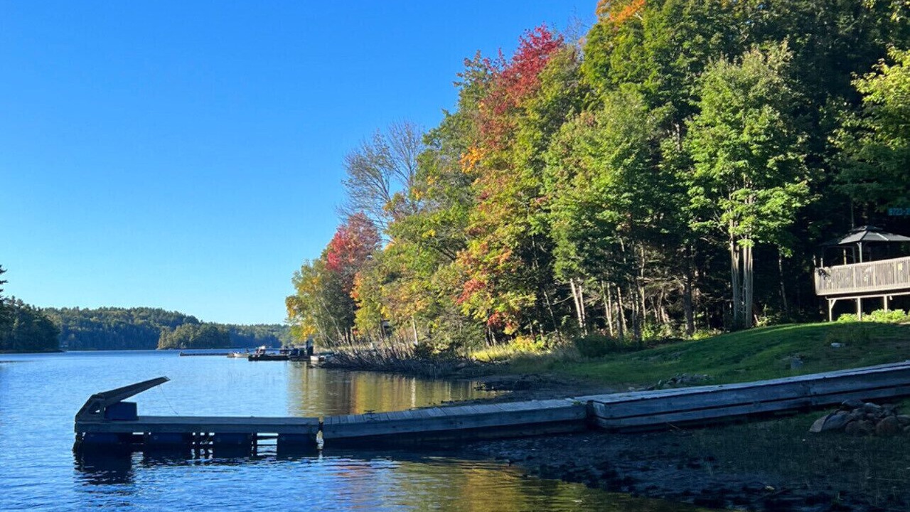 Photo of Outdoor in Broadbent