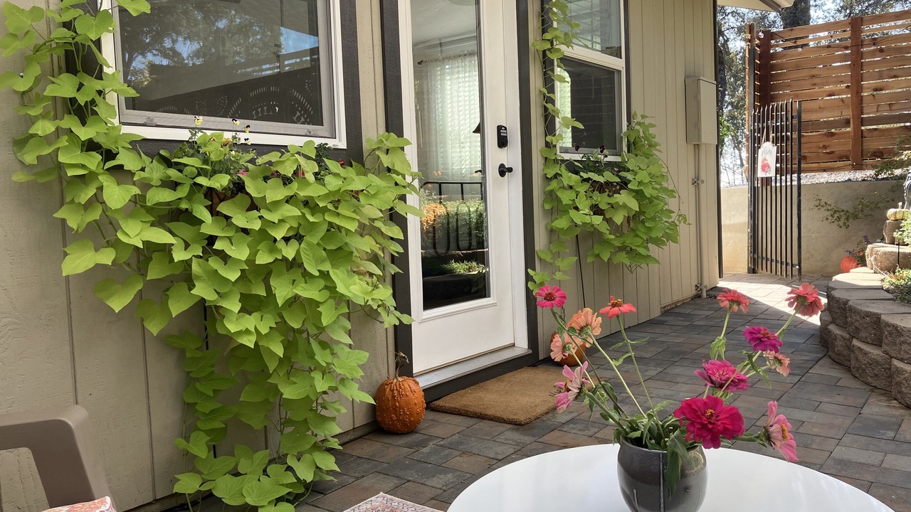 Photo of Patio Balcony in Auburn