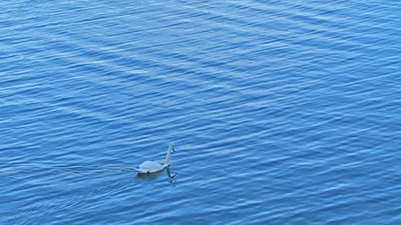 Photo of Others in Onekama