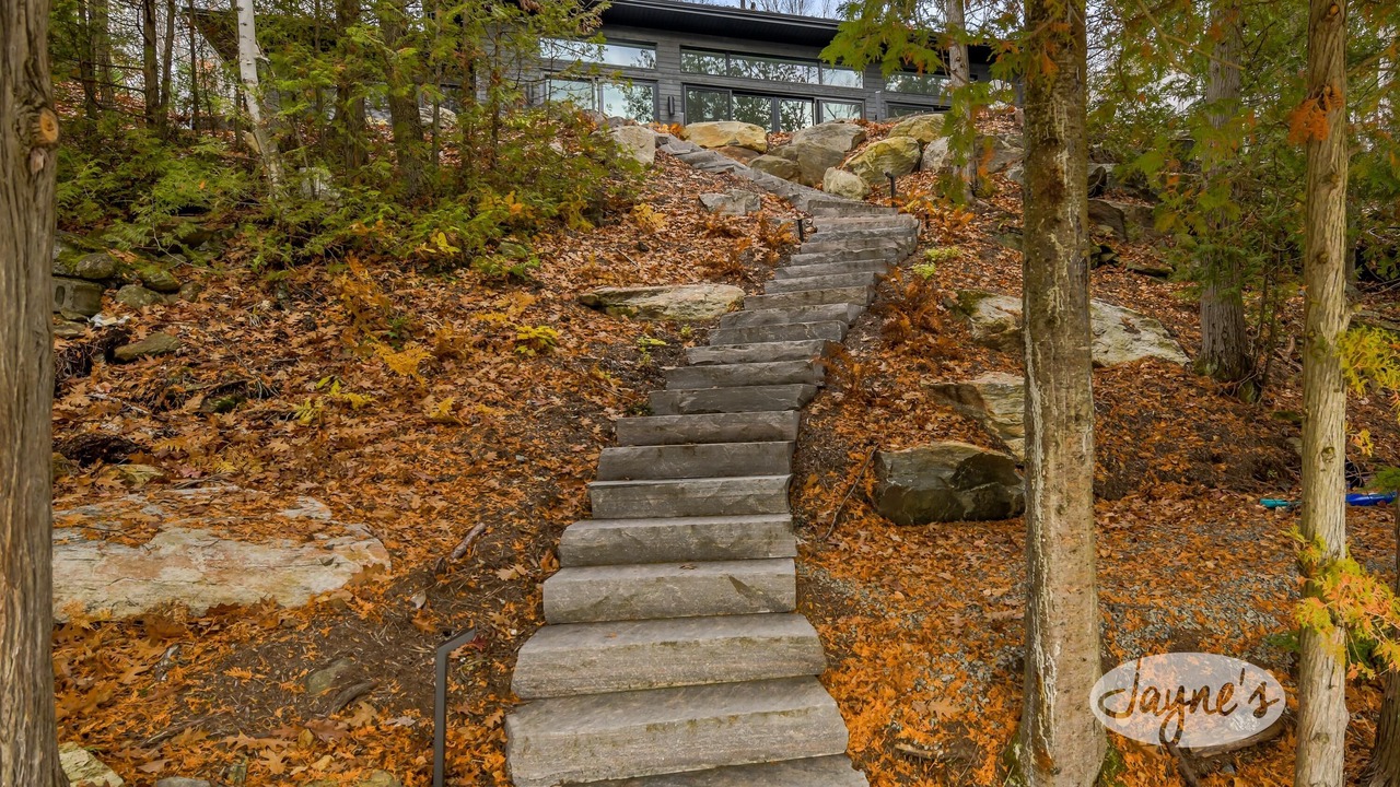 Photo of Outdoor in Algonquin Highlands