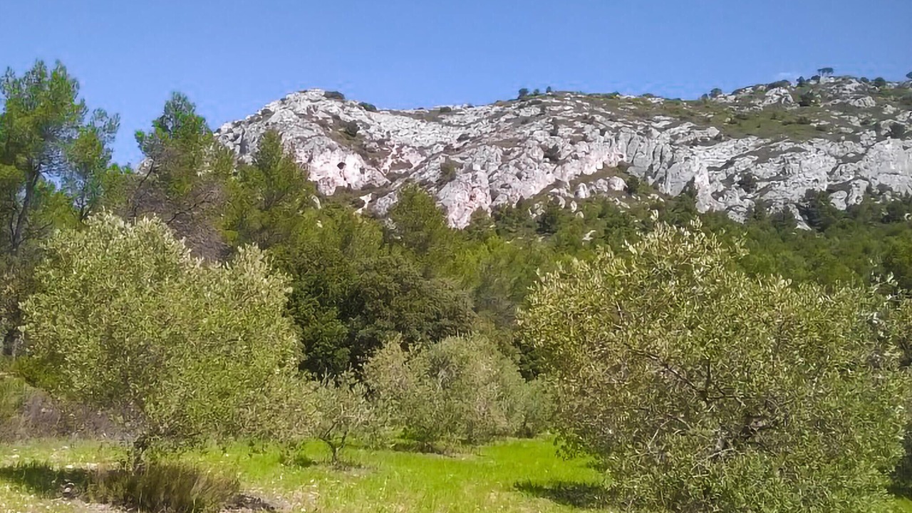 Photo of Others in Rustrel