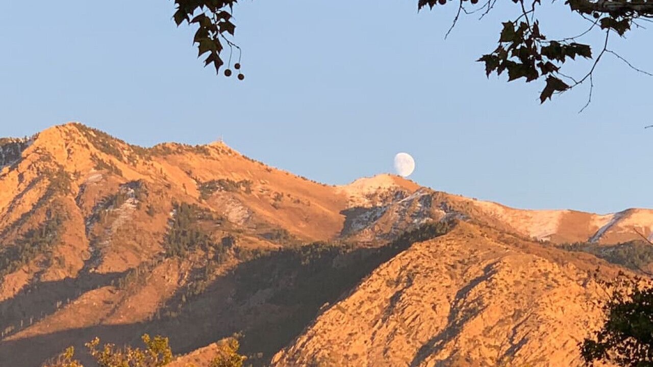 Photo of Others in Ogden