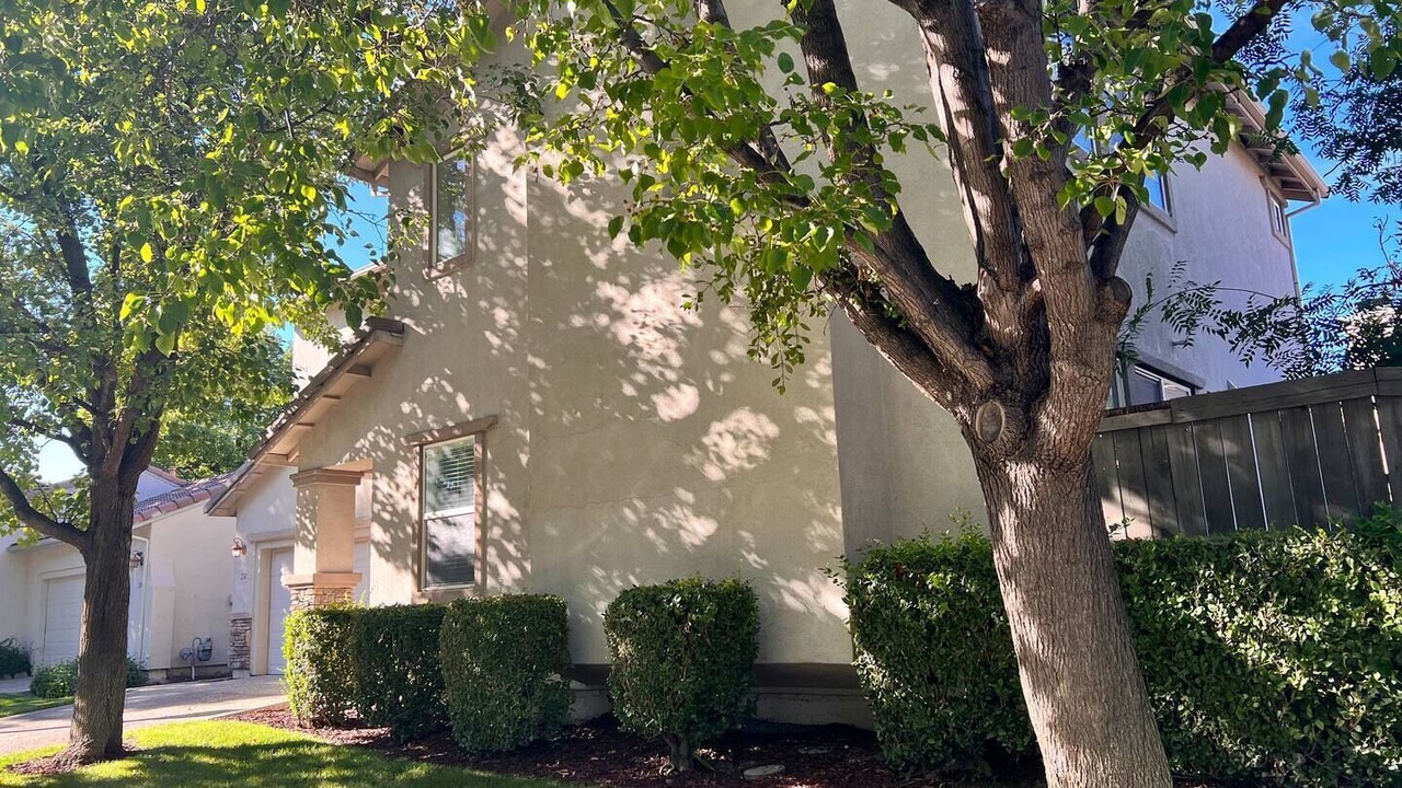 Photo of Outdoor in Regency Park