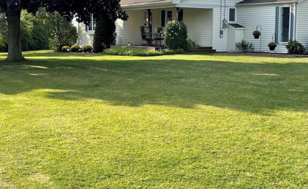Photo of Others in Wilson
