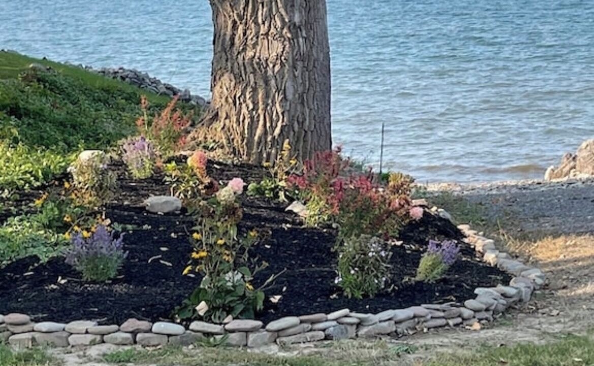 Photo of Outdoor in Wilson