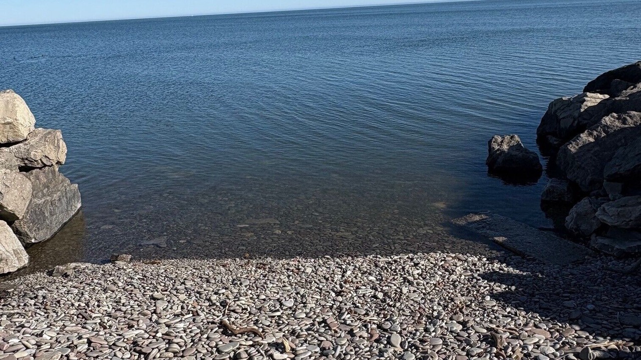Photo of Others in Wilson